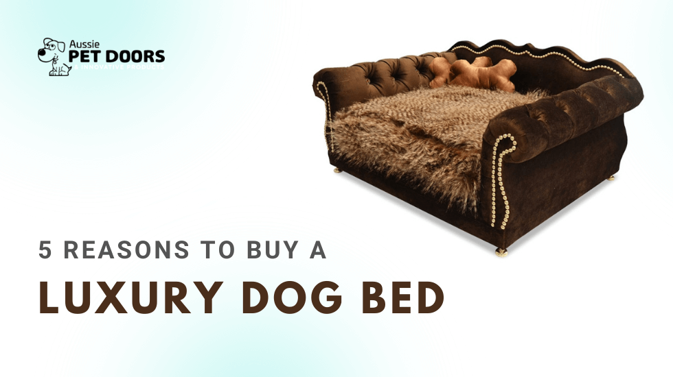 5 Reasons to Buy a Luxury Dog Bed