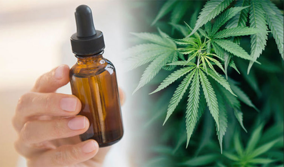 CBD Oil All The Information You Need To Know