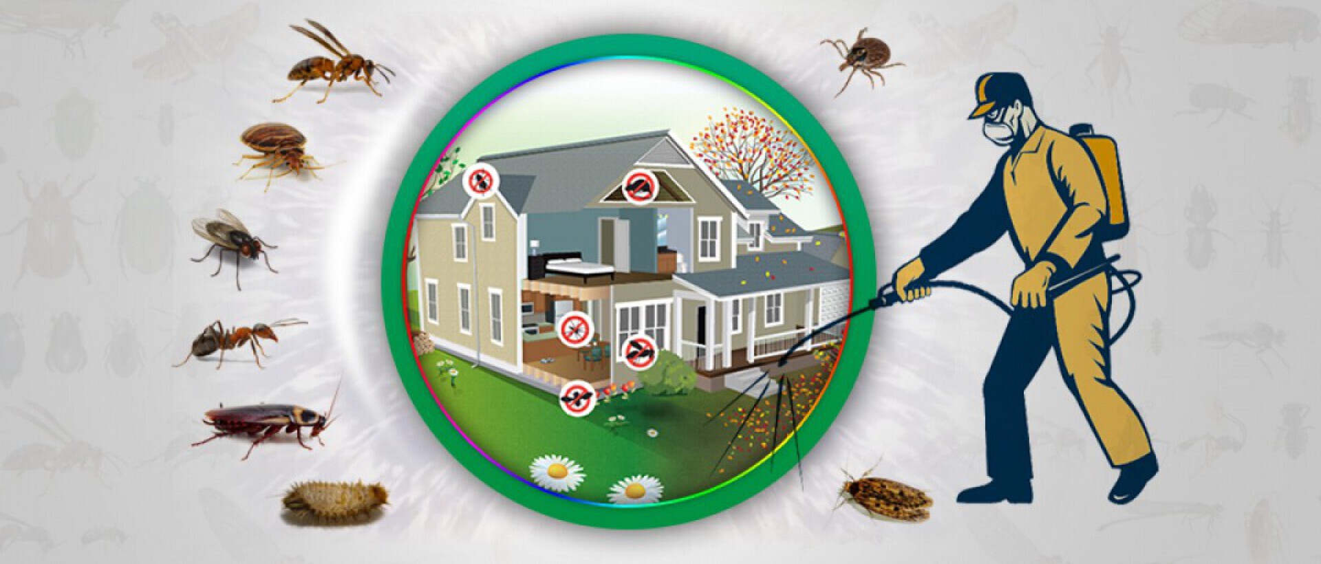 What types of pests do your pest control services cover